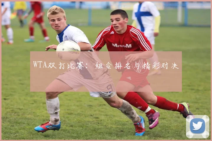 WTA双打比赛:组合排名与精彩对决